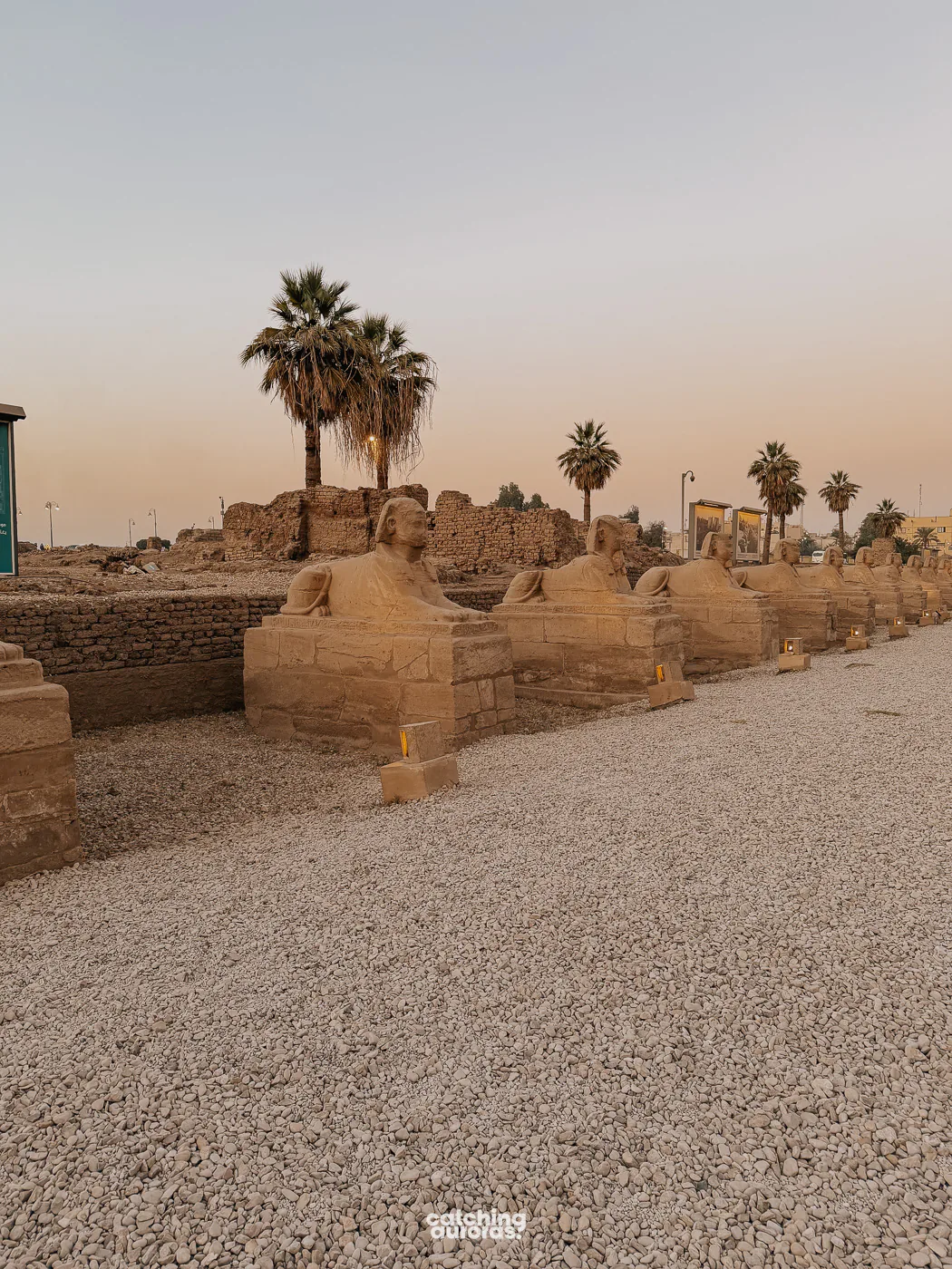 Avenue of Sphinxes connecting Karnak Temple and Luxor Temple on the East Bank