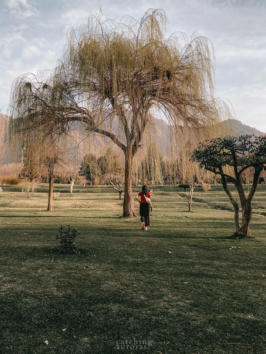 A girl wearing a red top runs towards a tree in a landscaped garden.