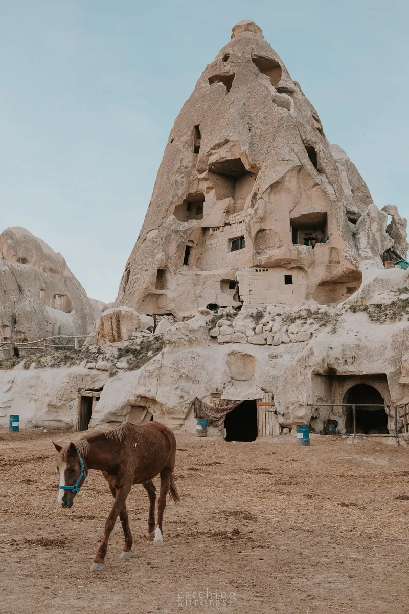 Horses at a Cappadocian stable