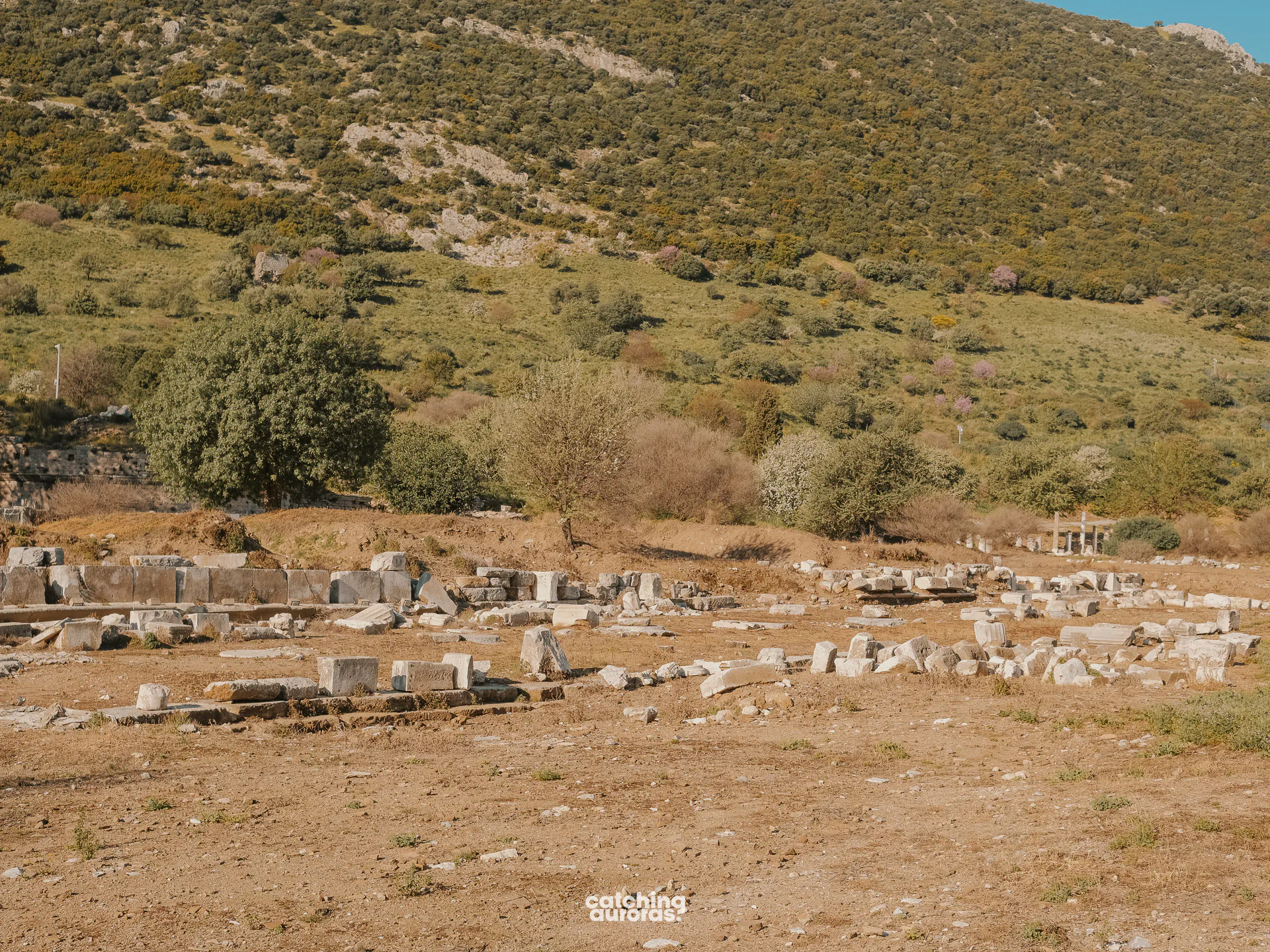 The Agora in City of Ephesus