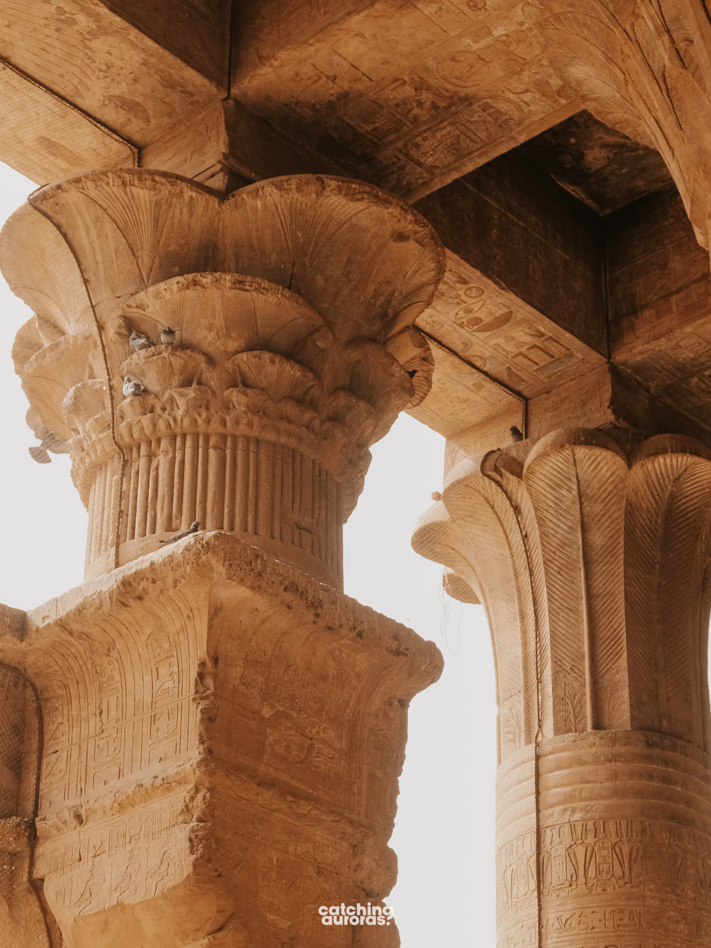 Close-up of a carved floral capital on a column at Edfu Temple.