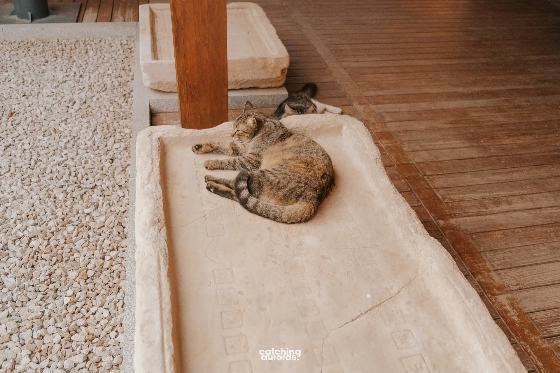 Ephesus Museum