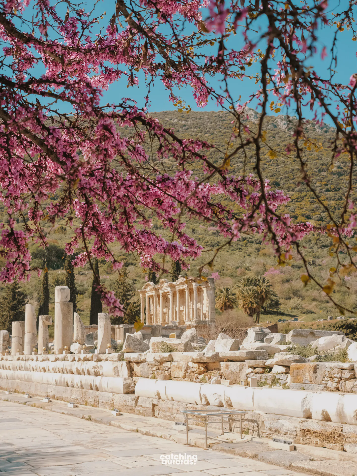 Ephesus Turkey Guide