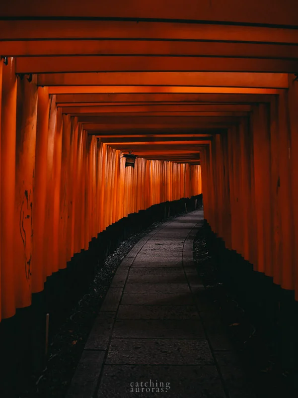 The tori gates in Fushimi Inari, Japan