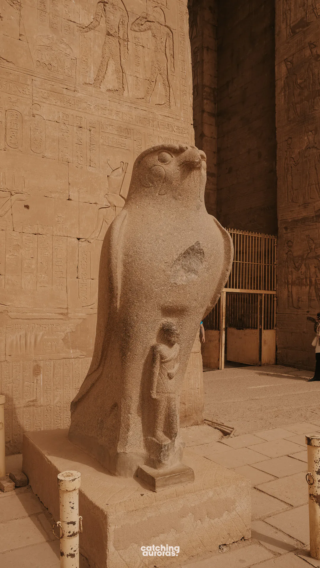 Granite falcon statue representing Horus at the entrance to Edfu Temple.