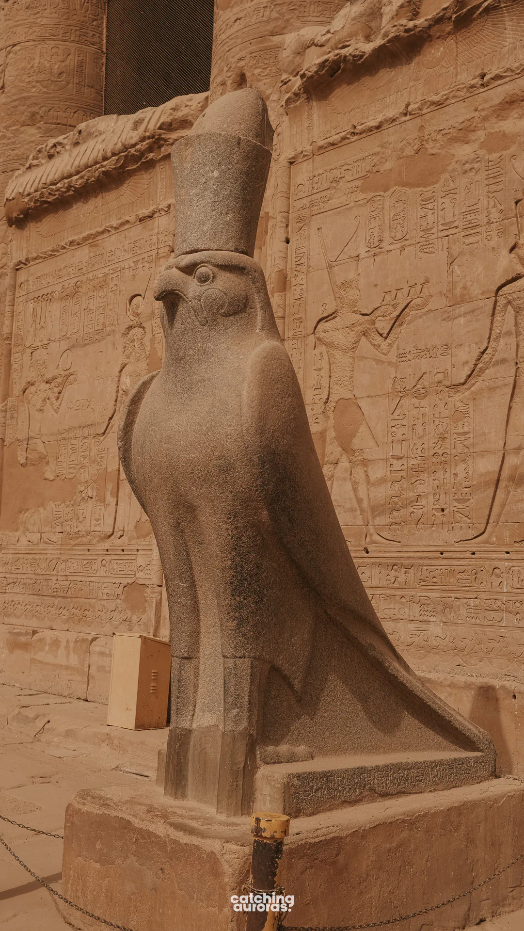 Granite falcon statue representing Horus at the entrance to Edfu Temple. This is the one with the double crown.