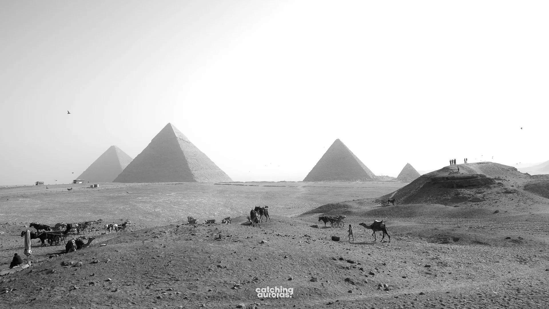 A quiet panoramic view of the three Giza Pyramids