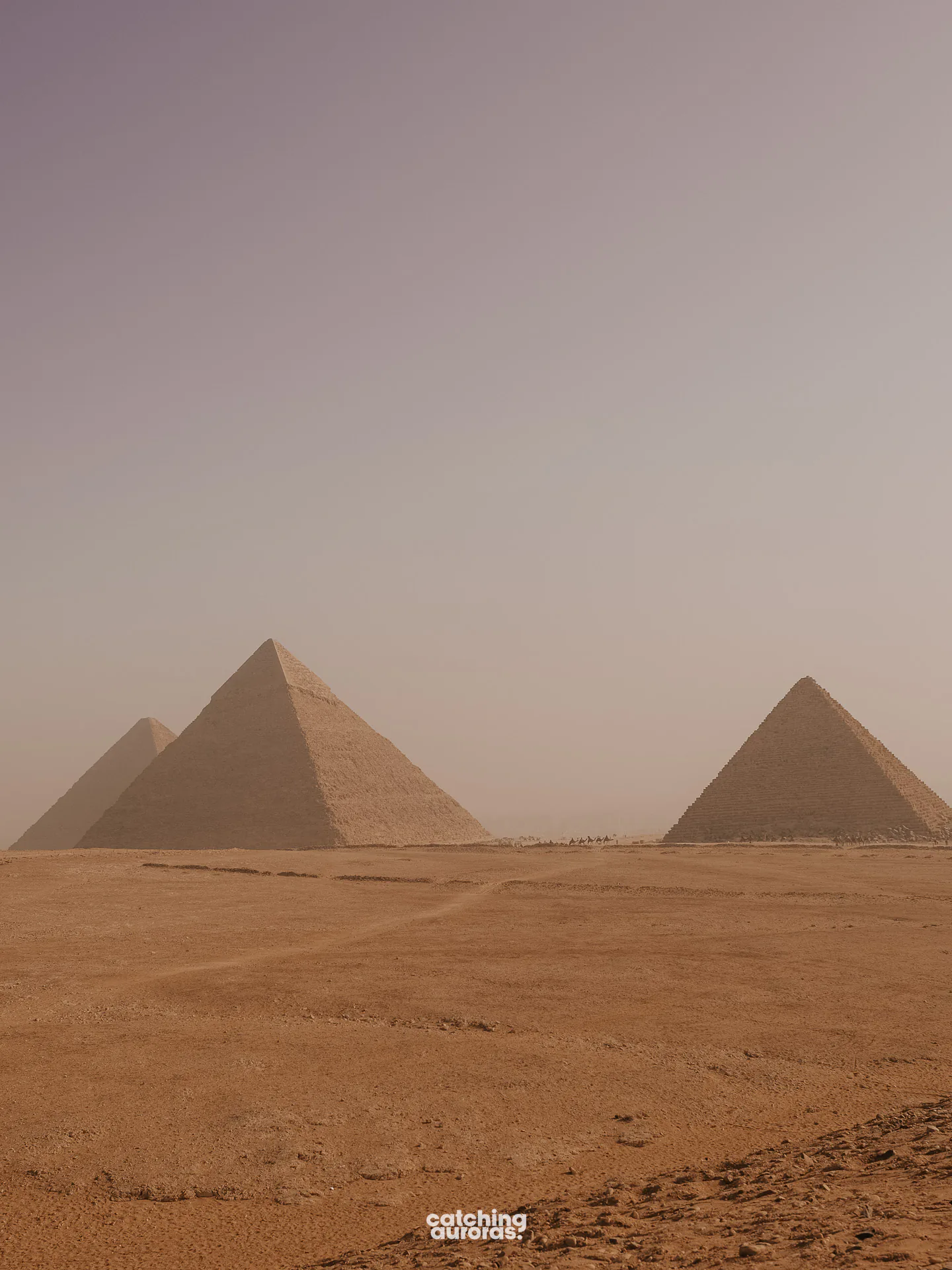 The Great Sphinx of Giza at the Giza Plateau in Cairo