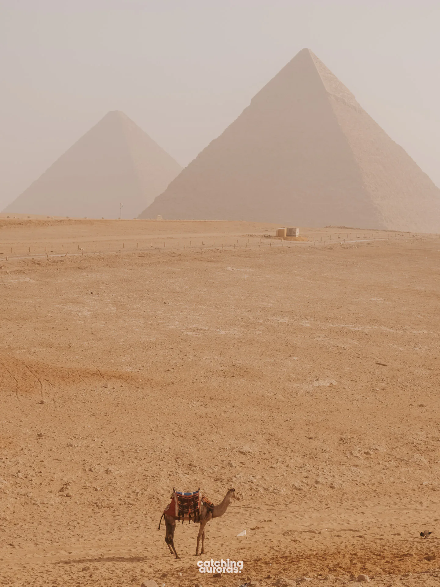 The Giza Pyramids viewed from the desert