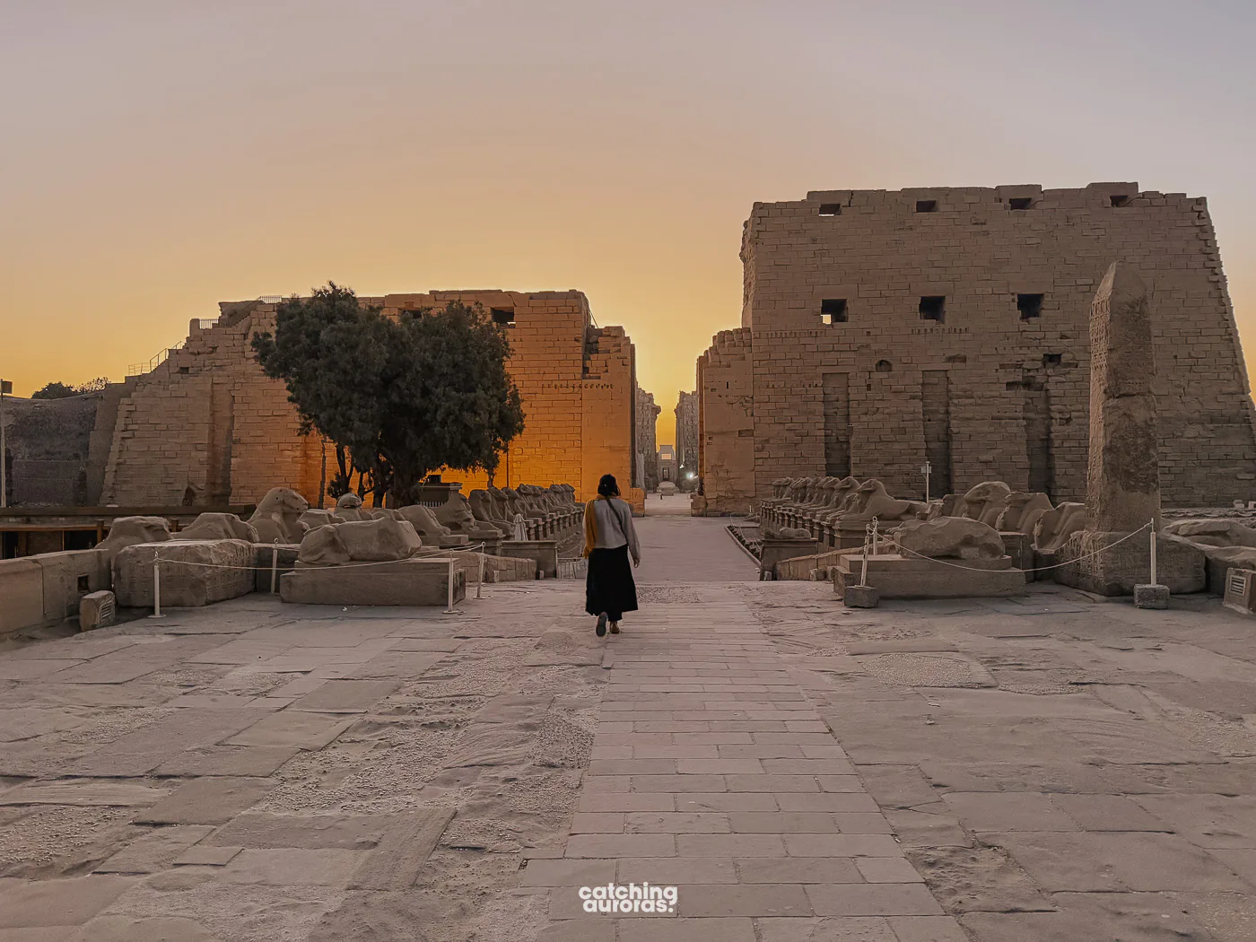 Karnak Temple on the East bank of Luxor Egypt
