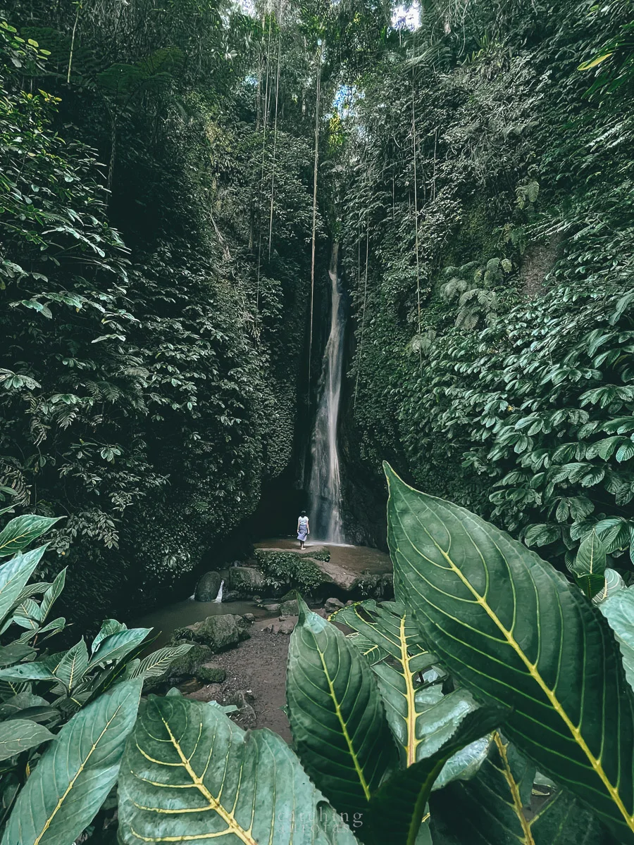 A girl stands before a thin waterfall flowing down into the rocks surrounded by a lush green foliage