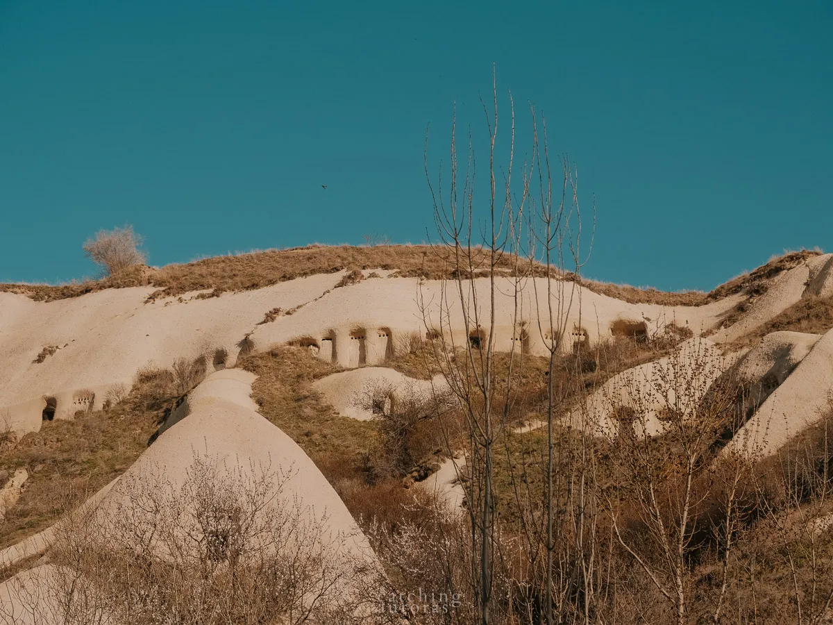 Hiking in Pigeon Valley