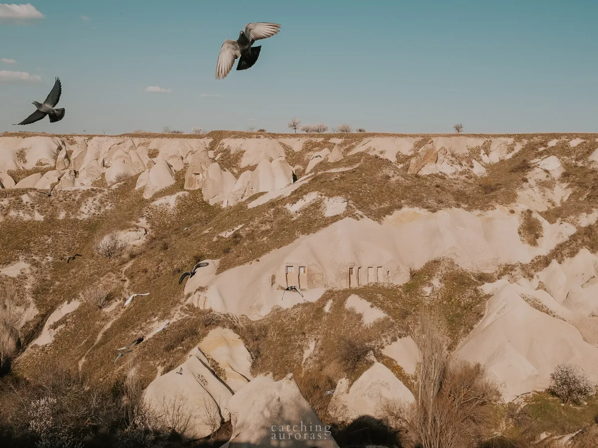 A still shot of Pigeons over Pigeon Valley