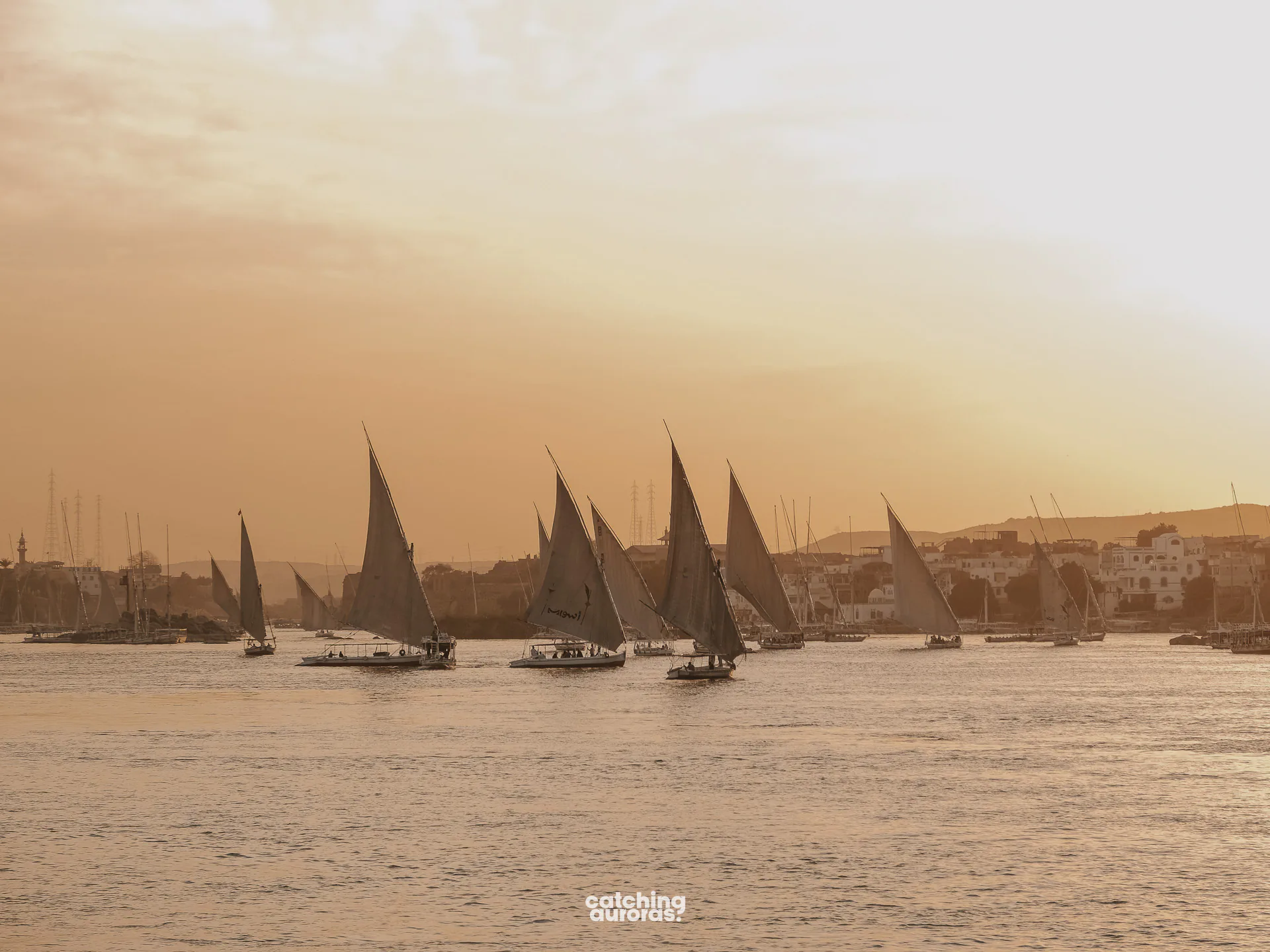 Several feluccas sailing on the Nile at sunset, seen from the riverbank in Aswan, Egypt.
