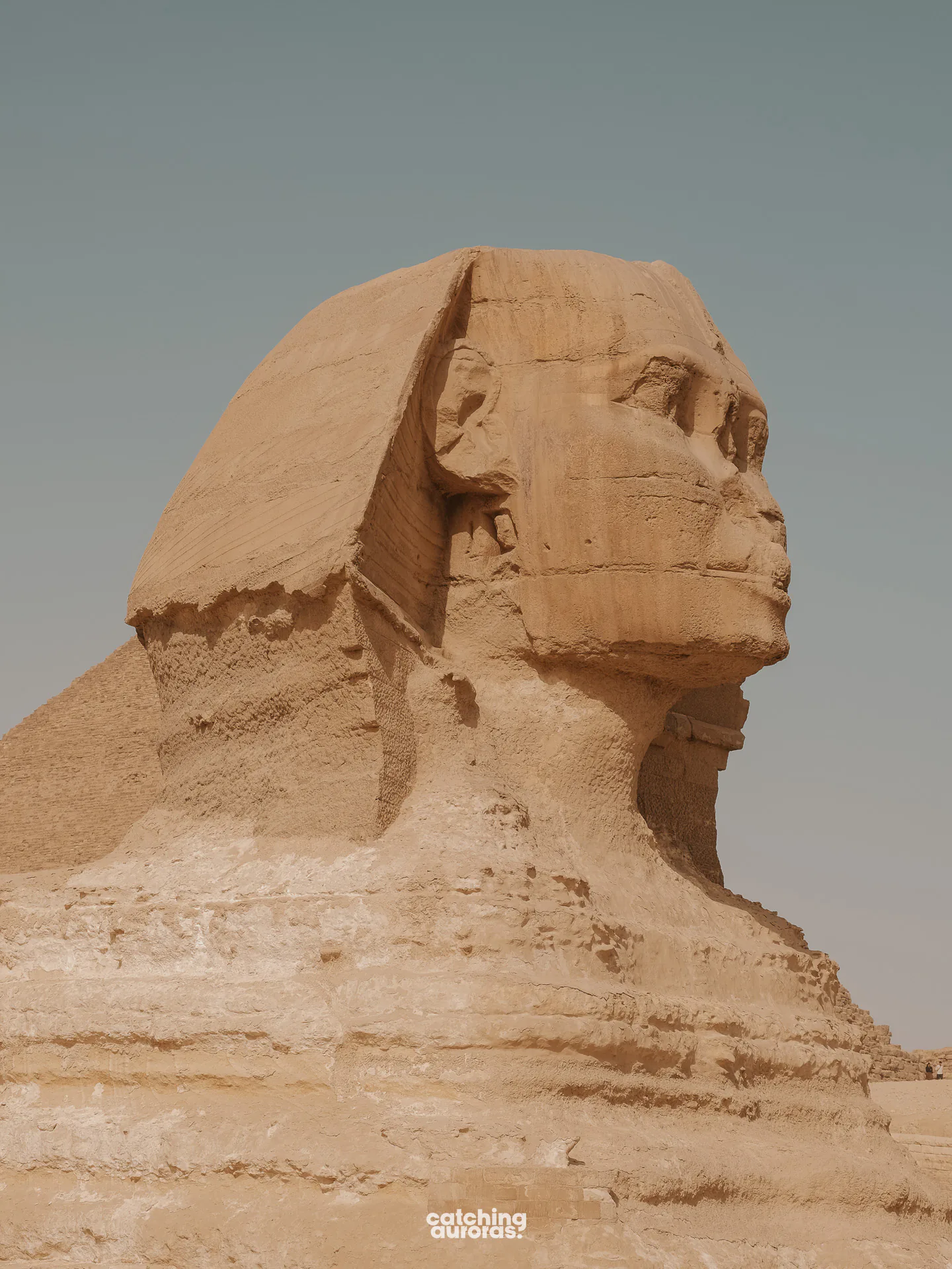 The side profiles of the Sphinx at Giza