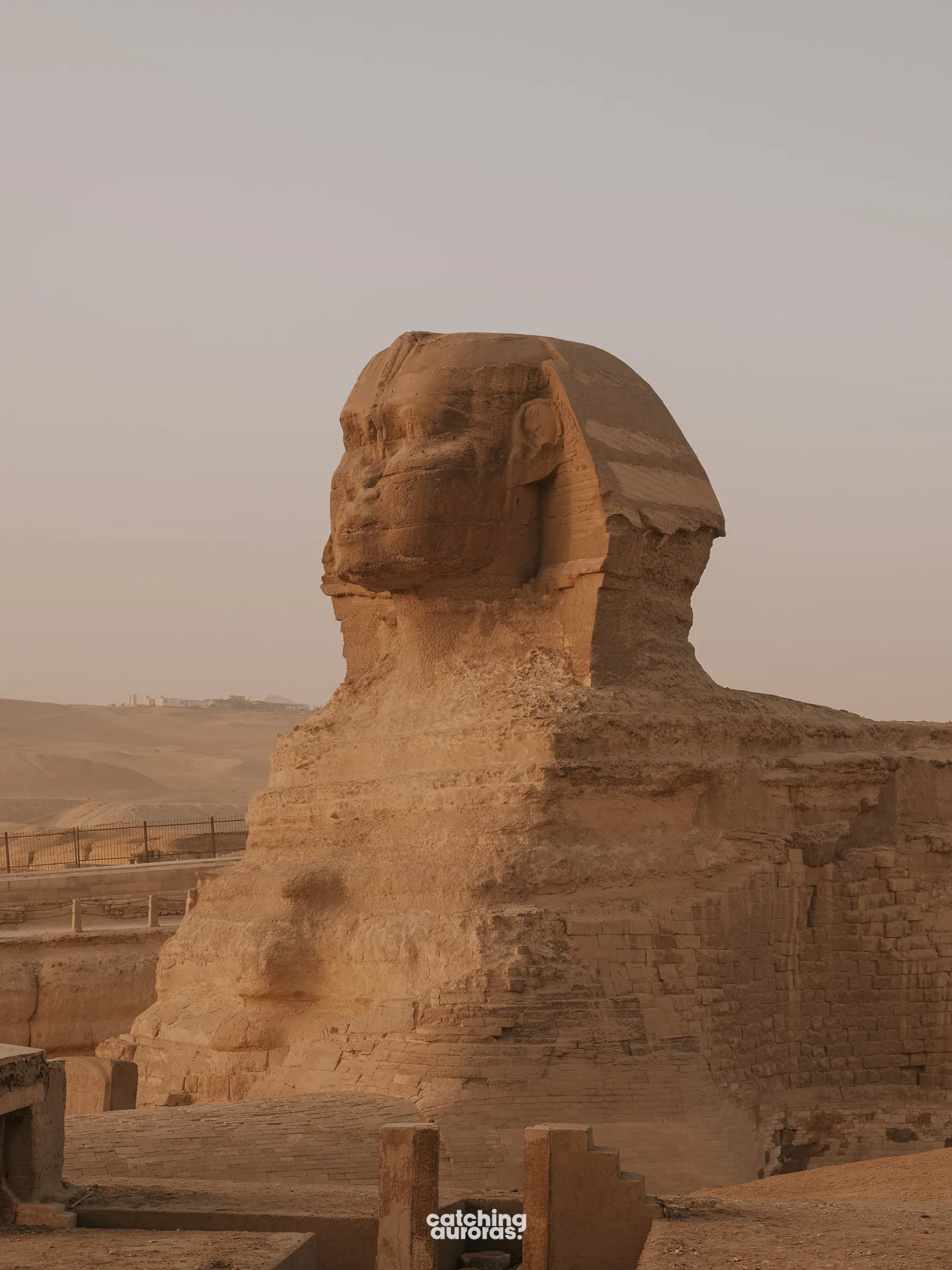The Great Sphinx of Giza from the plateau