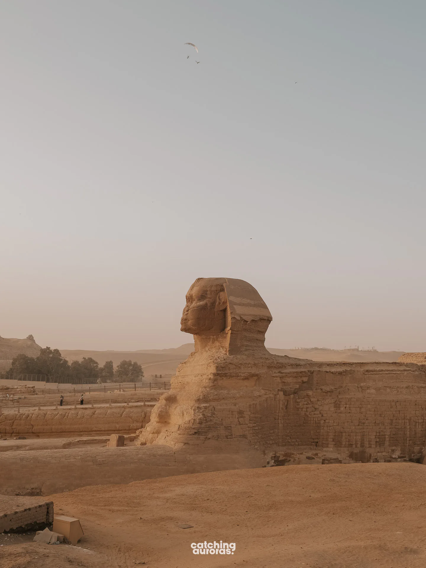 The side profiles of the Sphinx at Giza