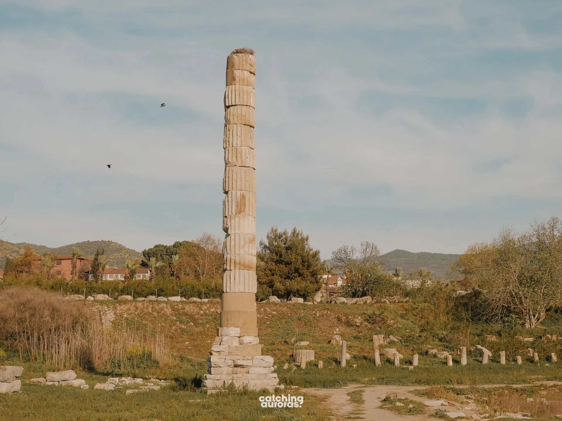 Temple of Artemis