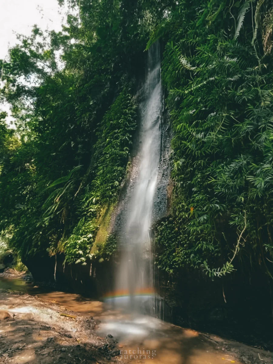 A tiny waterfall gushes down creating a rainbow at the base